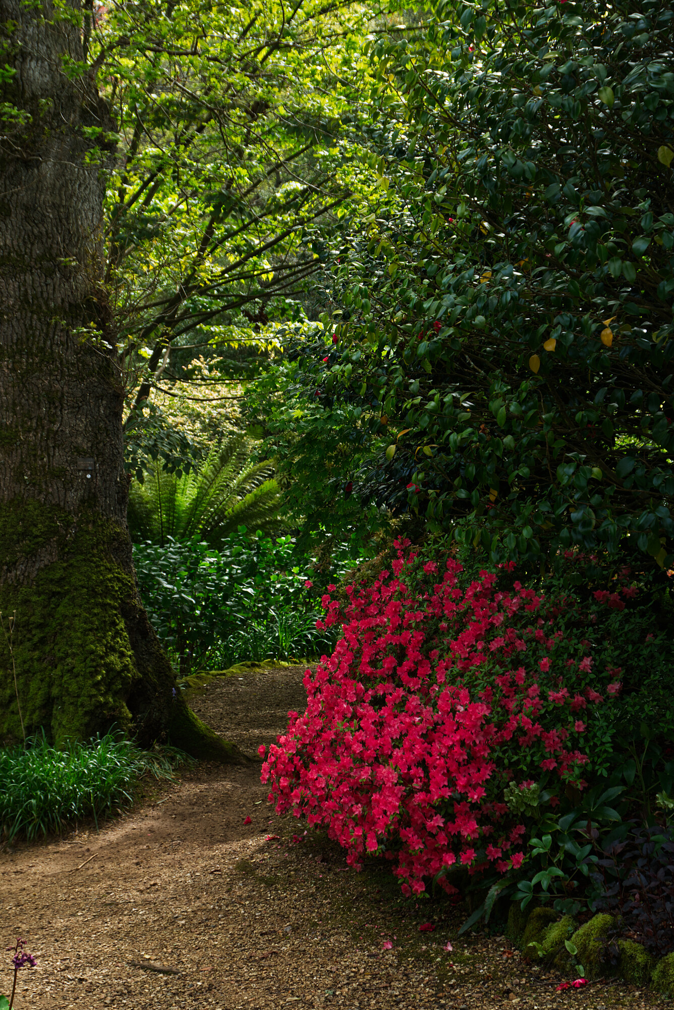 Colour in Shade