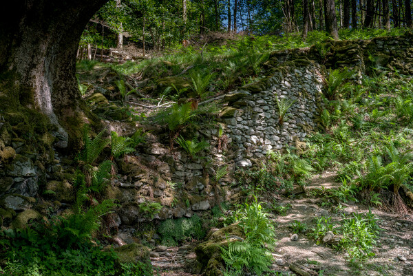 Cumbrian Wall