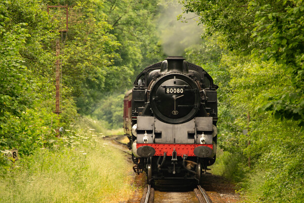Ecclesbourne Express