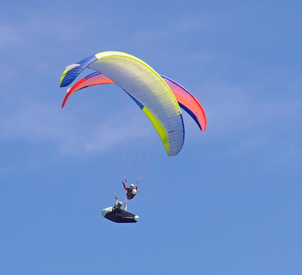 Paragliders