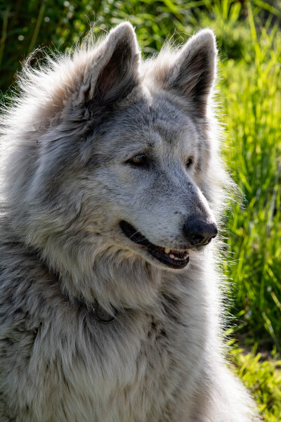 Portrait of Starr