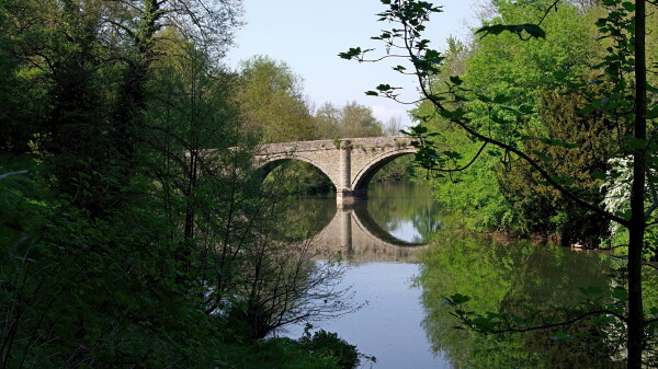 River Teme at Ludlow, Shropshire.