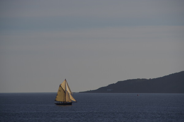 Sailing in the Sound.