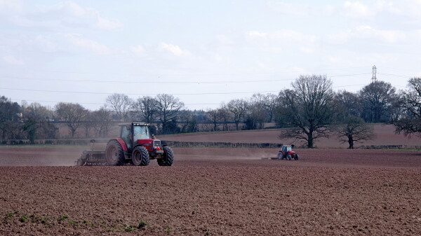 Seed drilling ....