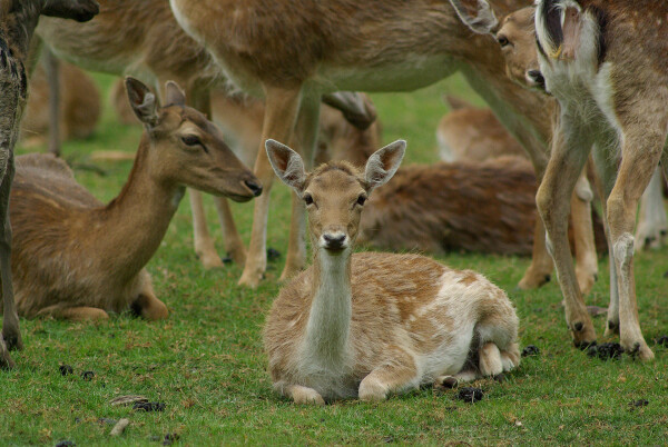 Who are You Looking at ?