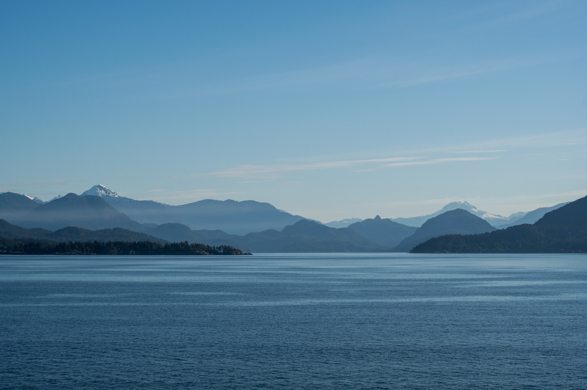 Misty Blue