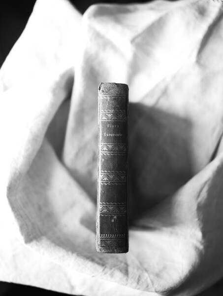 First edition of 'Flora Excursoria Hafniensis' published in 1838