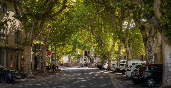 Early Morning, Busy French Street