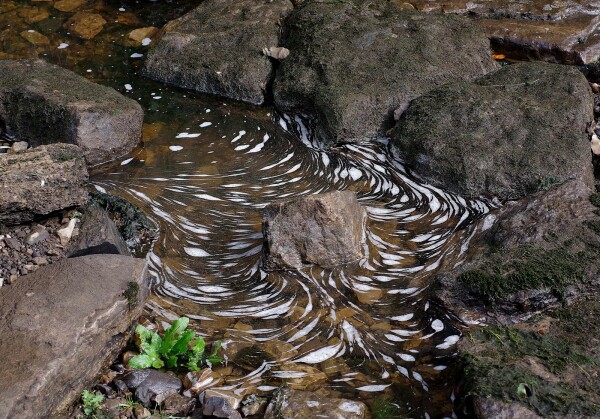 Nature's patterns