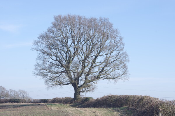 Standing alone