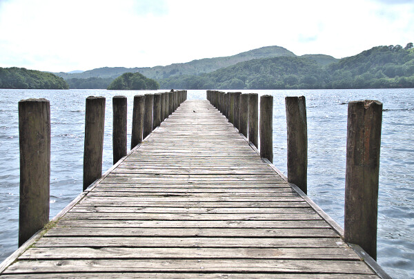 Wagtails on the jetty
