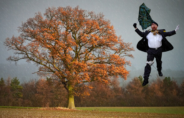 Windy Day