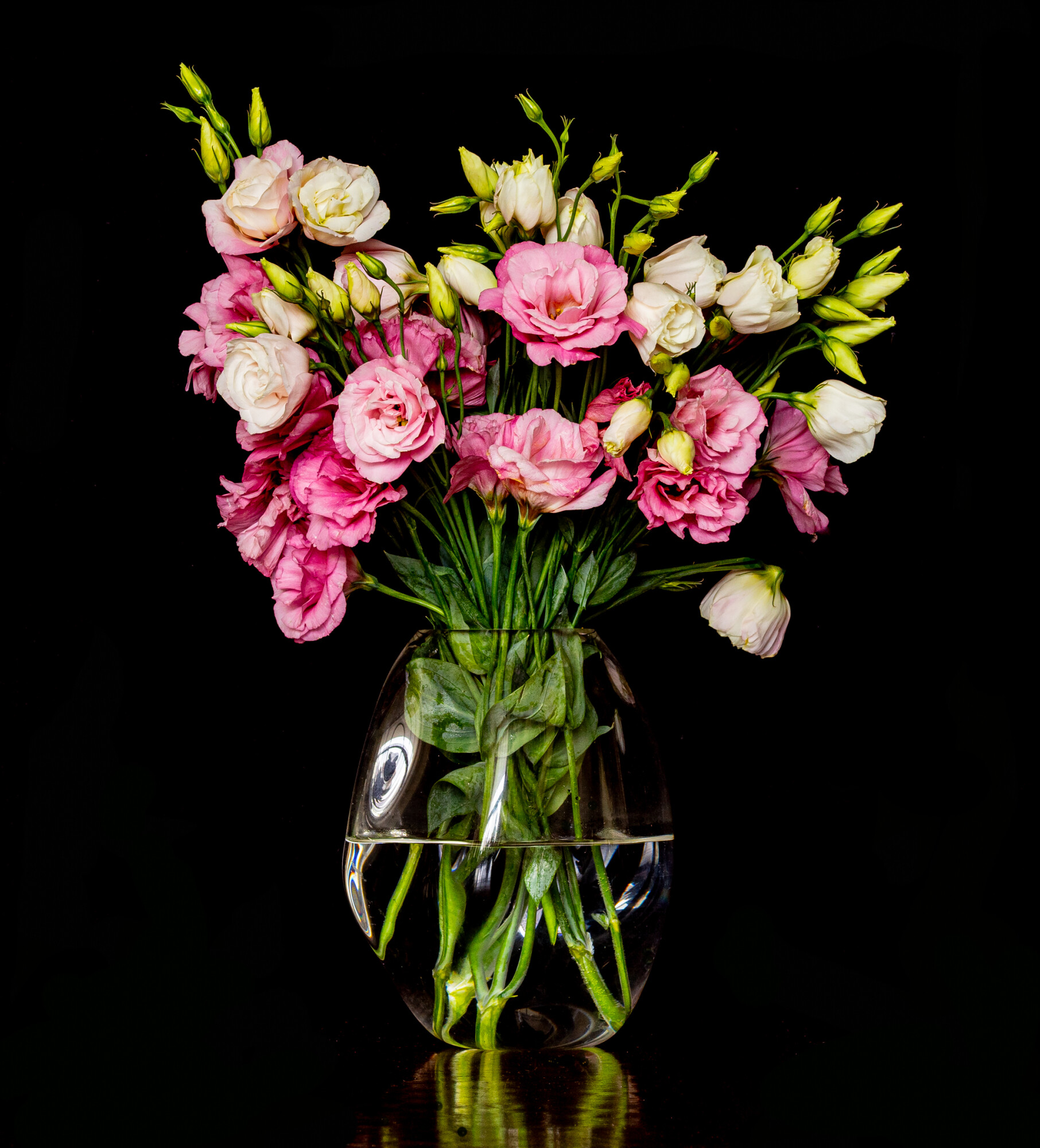 Lisianthus