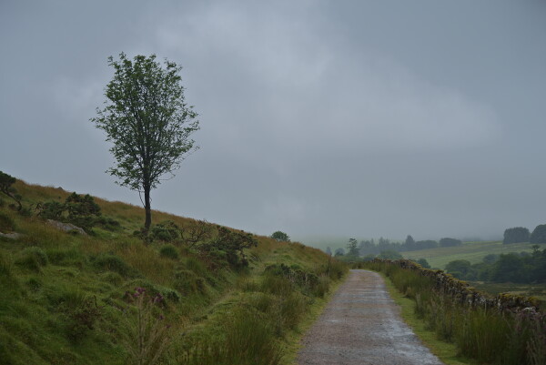 Dartmoor.