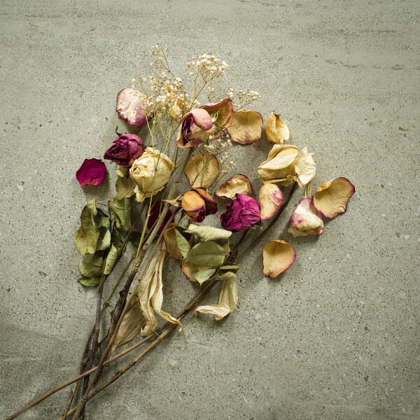 Dried