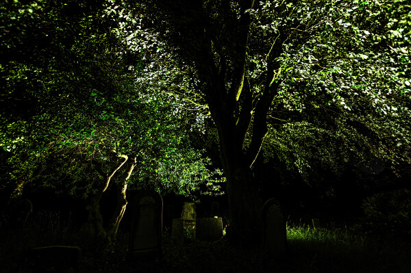 Green shades of the night
