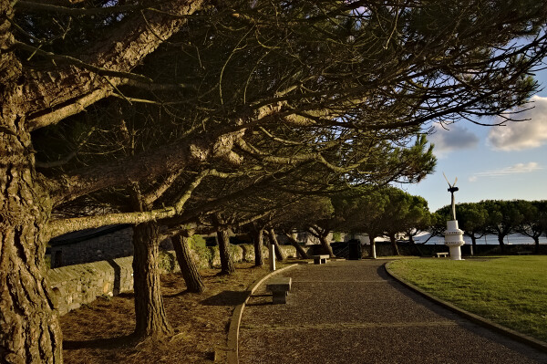 Nice Evening on the Prom.
