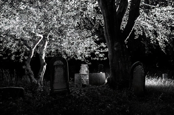 Night of the Rested