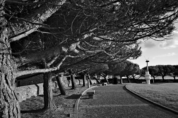 Now in Black and White.