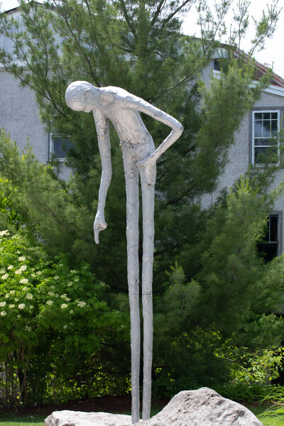 The Original Daddy Longlegs