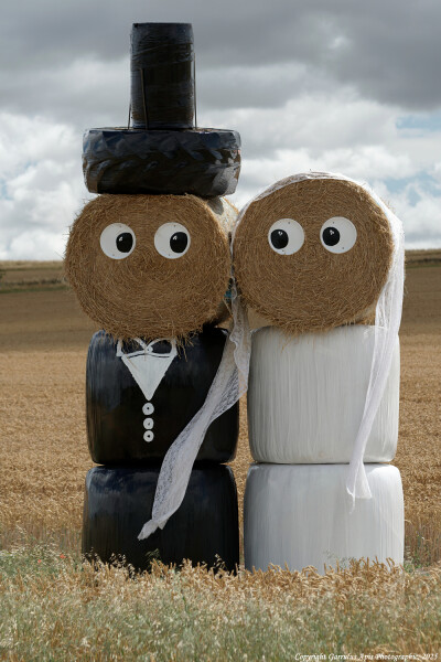 Wiltshire Gothic or 'The Exstrawdinary Couple