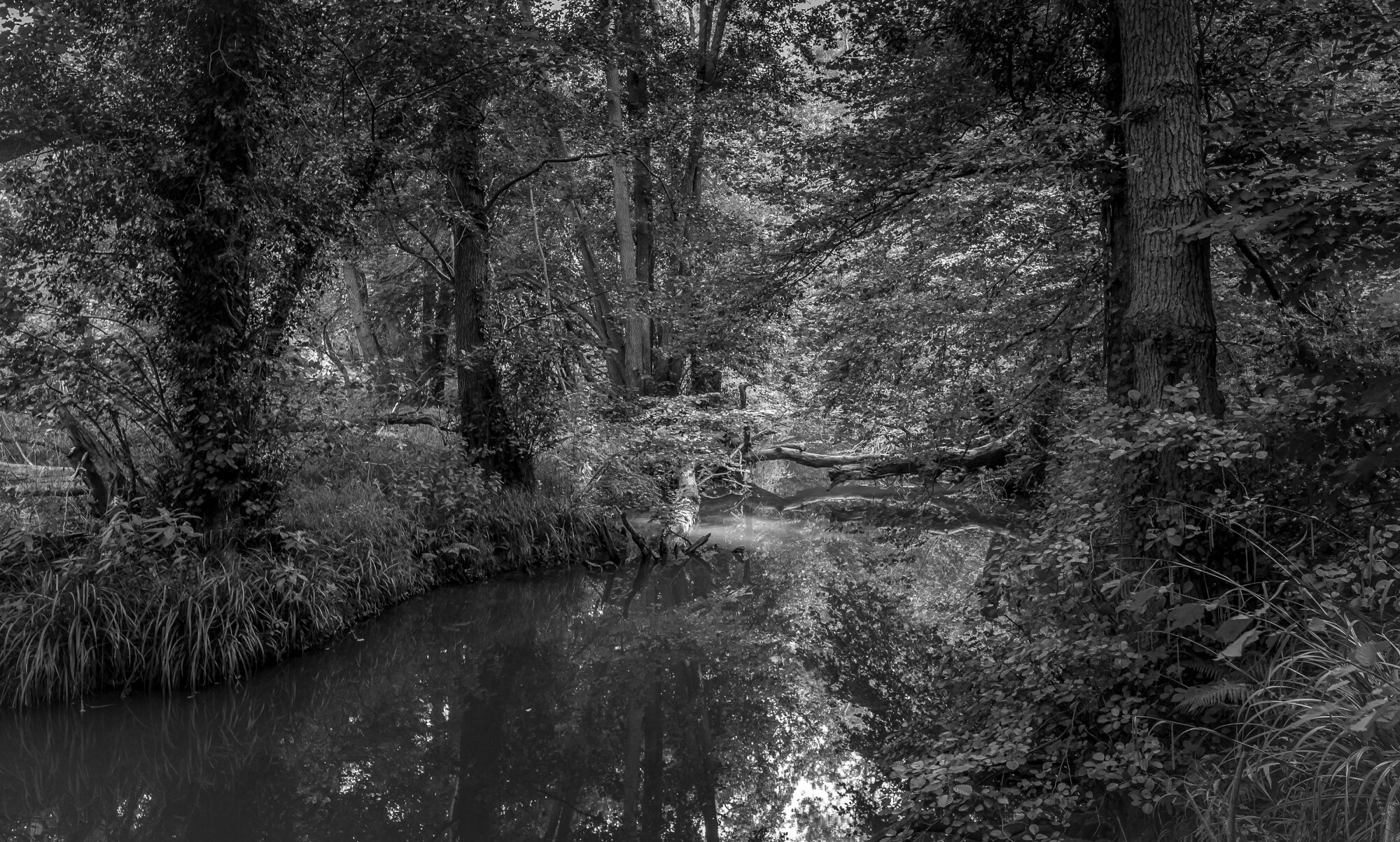Mono Watercourse