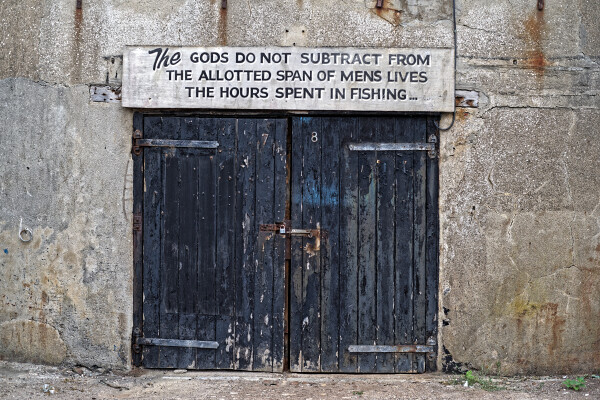 'The Gods Do Not ...