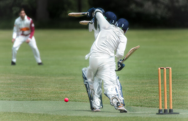 Cricket in Motion