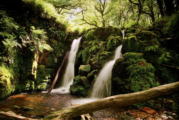 Dartmoor Waterfall.