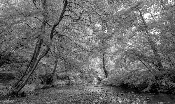 False IR