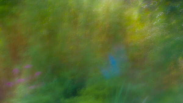 ICM 5 - Monet