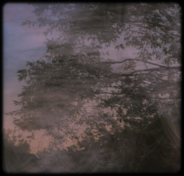 ICM