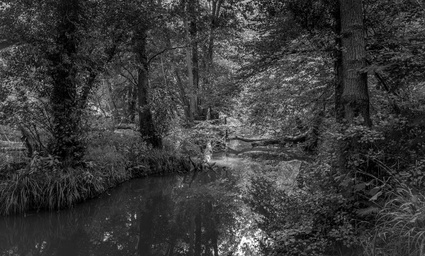 Mono Watercourse