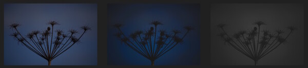 Weed triptych