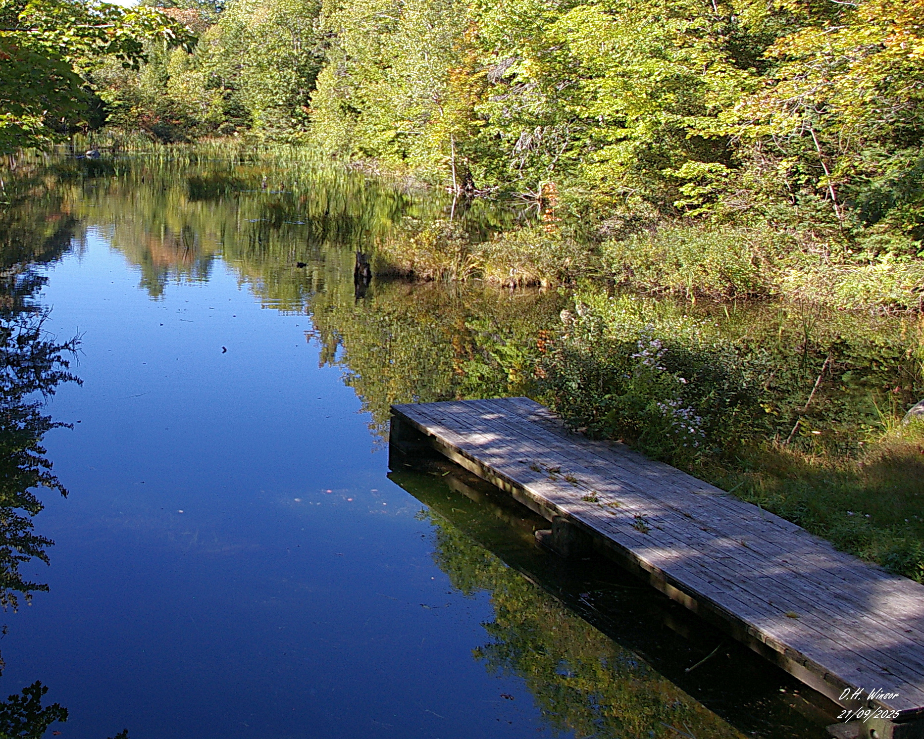 Reflections