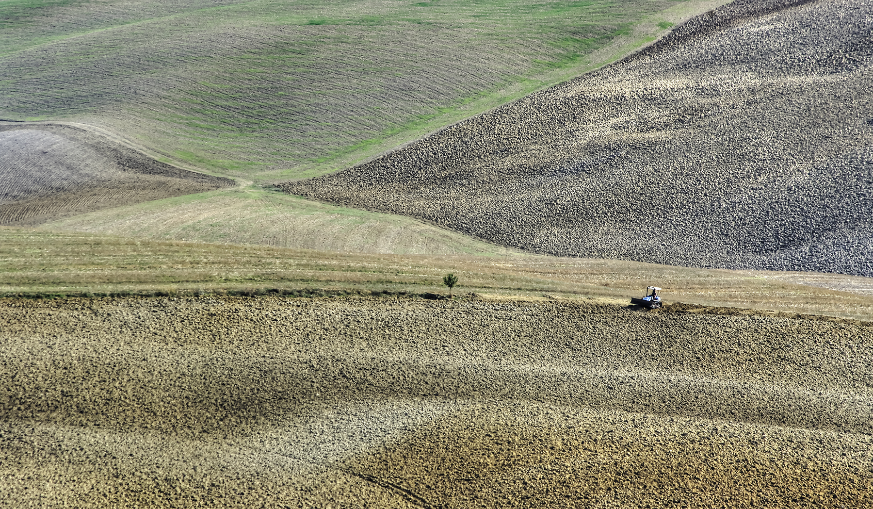 Shape Colors One tree One tractor