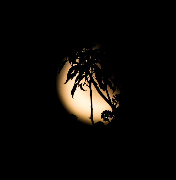 An alternative lunar eclipse