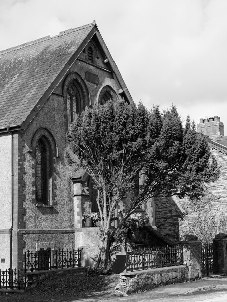 Chapel and Tree