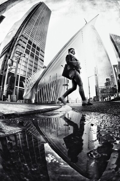 Fisheye Photography