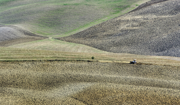 Shape Colors One tree One tractor