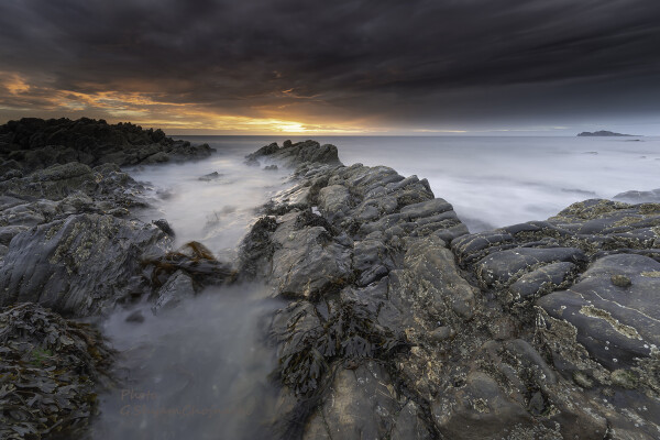 The Dawn