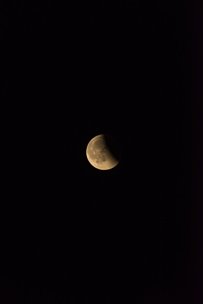 The obligatory lunar eclipse