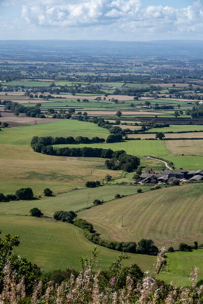 The Vale of York.