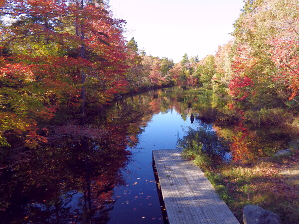 Autumn Colors