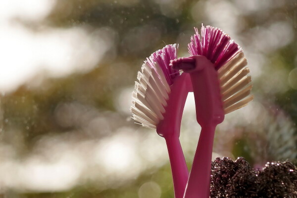 Dish brush finds love ! A story for you to continue ....
