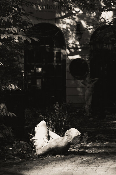 Fallen Venus