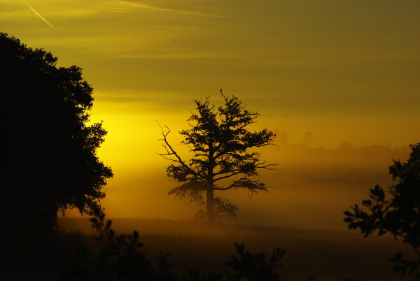 Moody morning