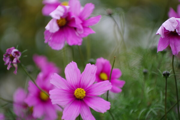 Vibrancy in October