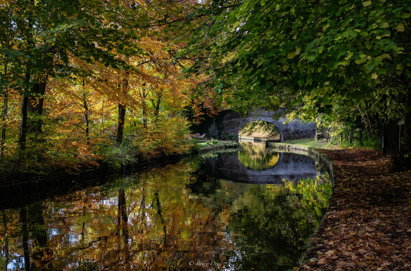 Another Autumn Day in Shropshire
