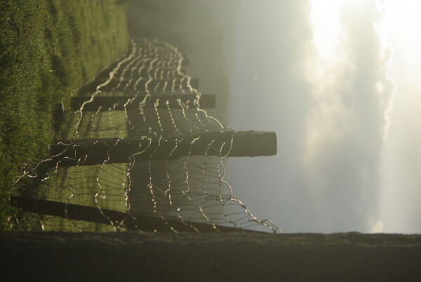 Fence